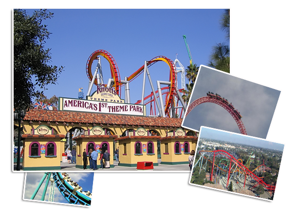 Knots berry form tour